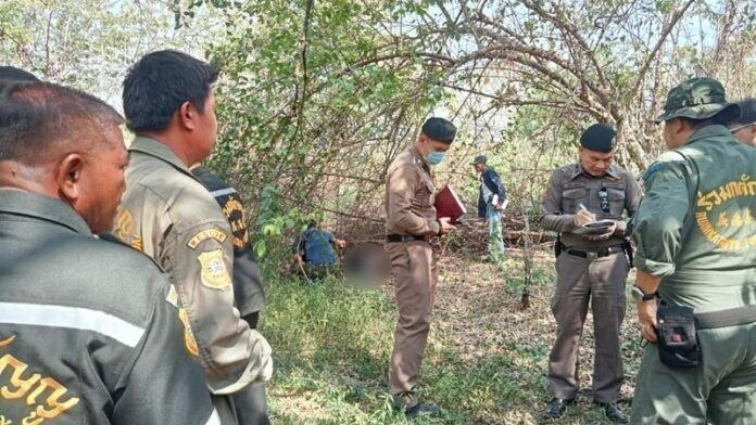 泰国新闻 华富里府木薯种植园发现腐尸,死者身中7至8枪