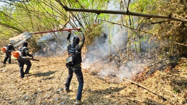 泰国新闻 【湄宏顺府尹下令“火鹰”特战队乘飞机进山扑灭森林大火】