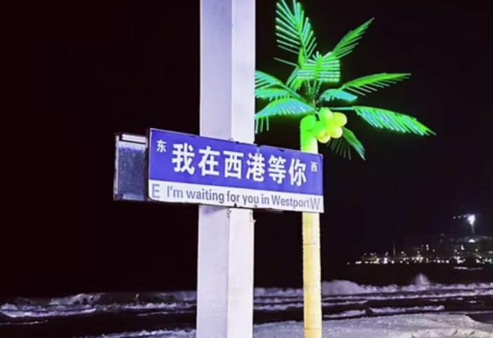 群友投稿:这一年,东南亚的风终究还是停了。