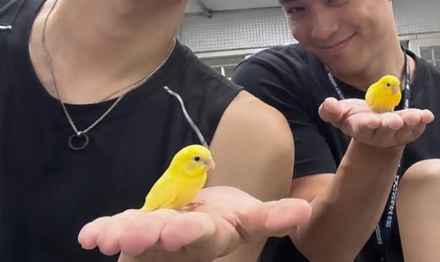 小姐姐投稿 GAY 变态吃瓜