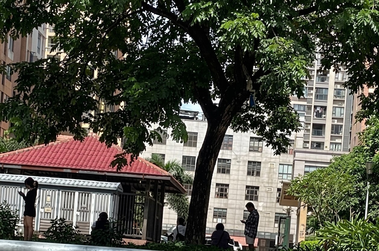 网友投稿:老挝金三角特内的豪志庄园刚刚被本地检查突击检查了