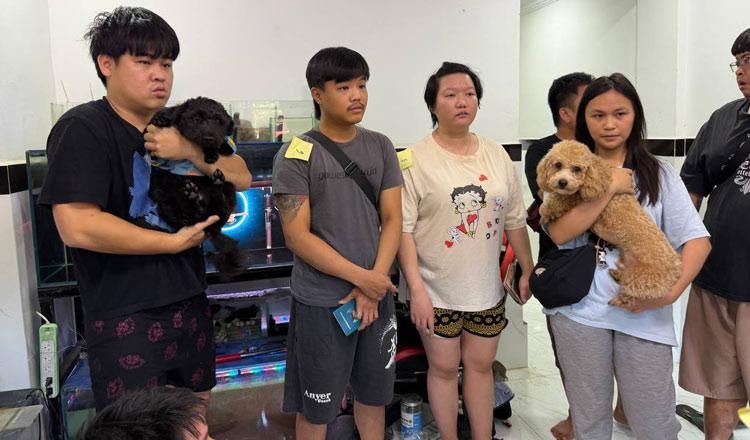 波贝昨天抓了16人,还有2条狗