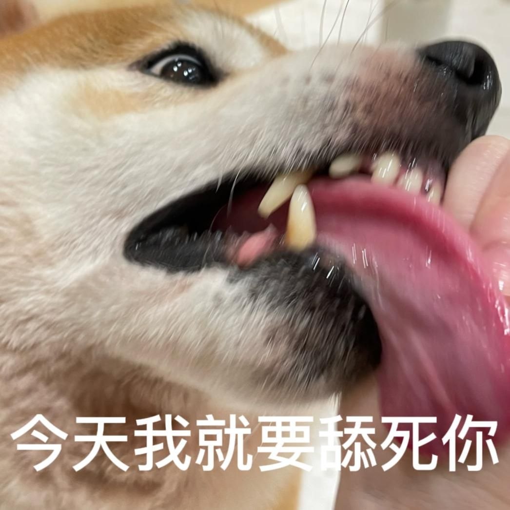 想寻找一位来自老挝的姑娘,她叫“小花”。