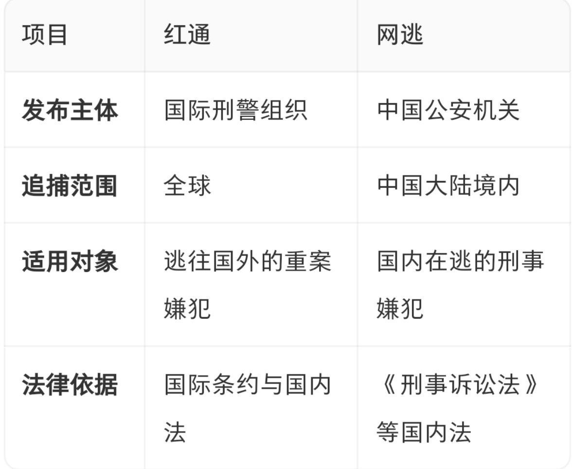 网友分享:红通和网逃的区别