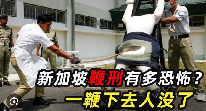 新加坡资讯:警方全国行动打击诈骗 208人被查 涉案金额超600万美元