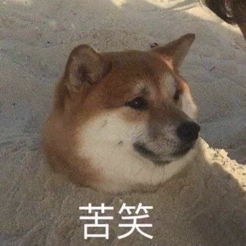 网友投稿:我在金边学会的第一件事,不是赚钱,是装没事