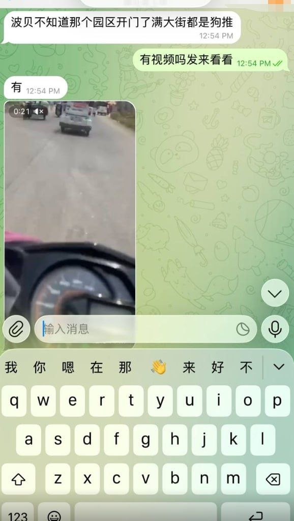 群友爆料:波贝某园区大门打开了,满大街的野生狗推。