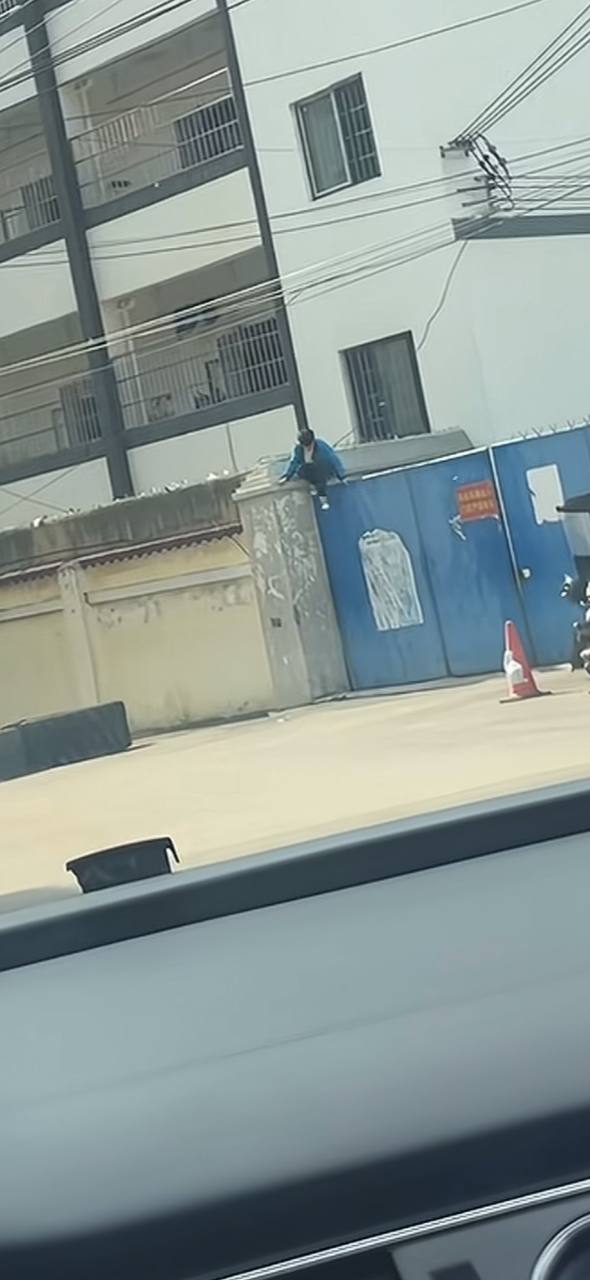 今天在外面看到一个狗推从园区高墙跳下来,为了争取自己的自由拼命一搏,我真的感慨万千。