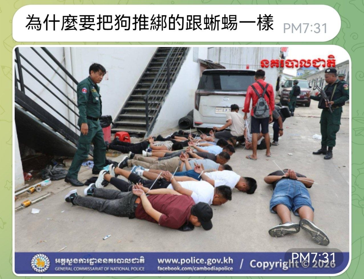 投稿标题:送给那些热衷于随手拍、乱曝光的“摄影师”们:大家都在泥潭里,别活成最可悲的那一个