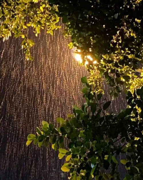 群友投稿:东南亚的雨,好像从来没有停过。