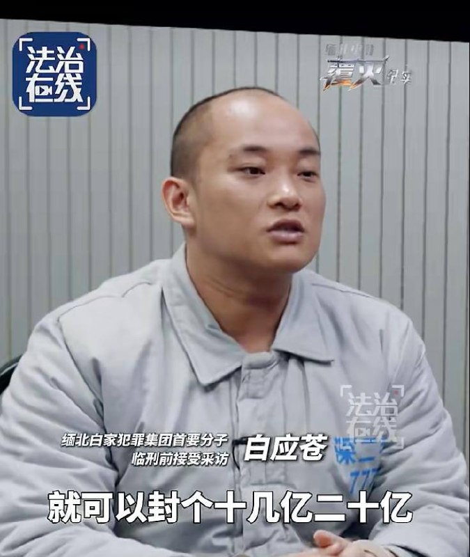 白应苍死刑前交代:诈骗诱惑太大了,随口一个资金盘就20亿