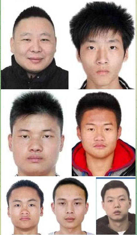 柬埔寨诈骗集团集体亮相