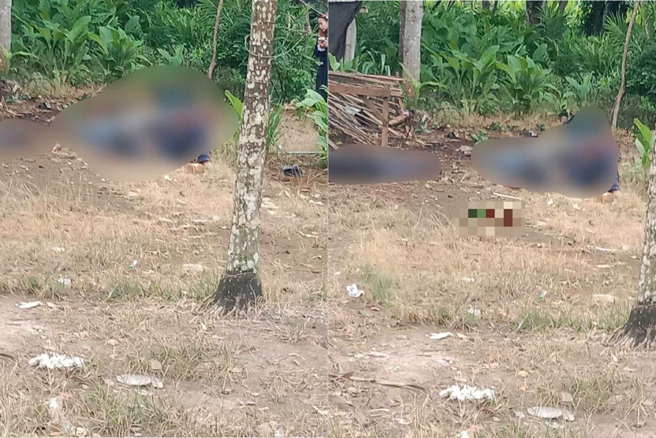 菩萨省缉毒执法队遭炸弹袭击 致6人死亡包括5名执法人员