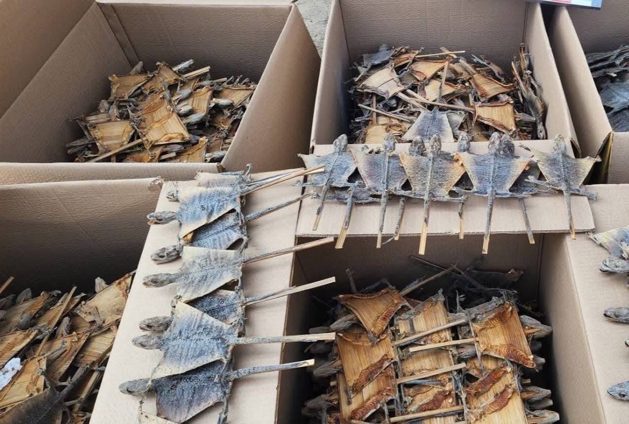 泰国巴吞他尼府查获12万只干壁虎及30吨禁木