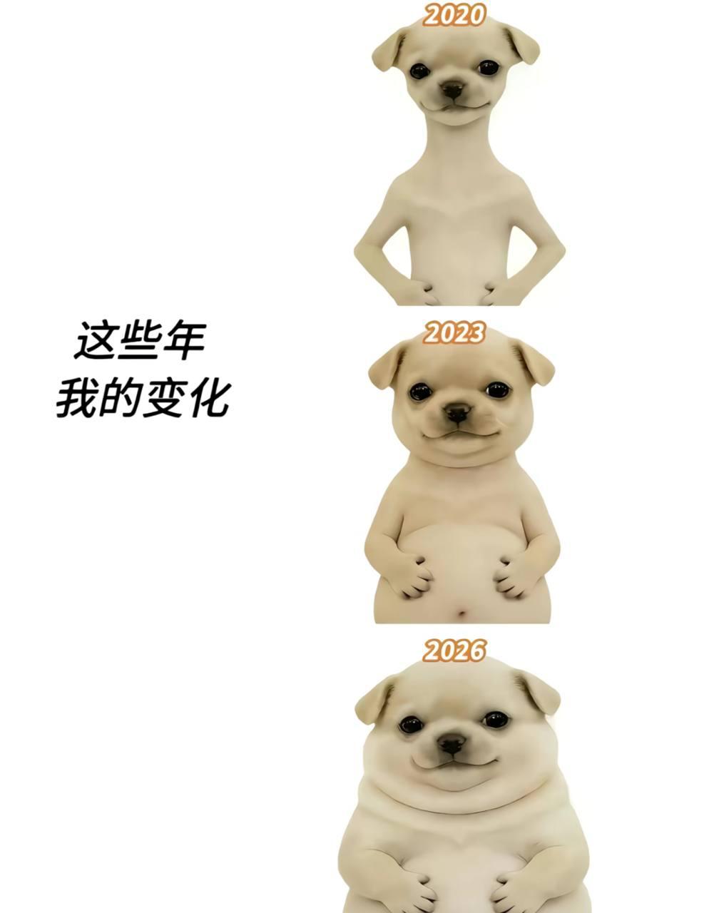 网友投稿:这几年是我经历过最多的几年 也是我最累的几年