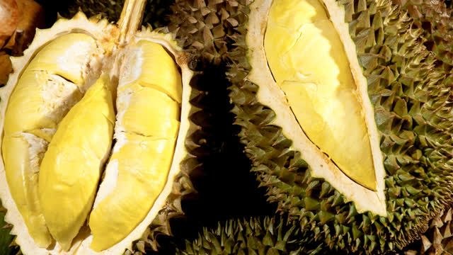 30家中企抢购柬埔寨榴莲