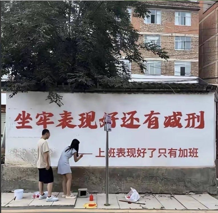 网友投稿: 回家 迷茫