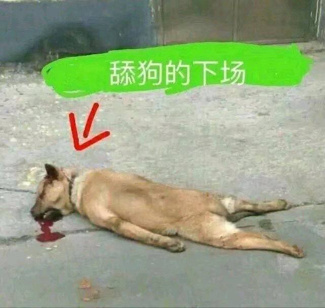 群友投稿:东南亚谈恋爱,先看好你的USDT!