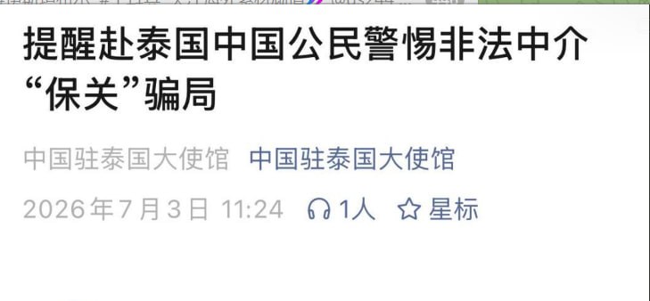 中国驻泰国大使馆:提醒赴泰国中国公民警惕非法中介保关骗局
