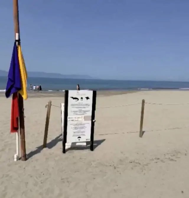 墨西哥游客海滩惨叫,被鳄鱼咬死遗体残缺,三米巨兽已被捕获