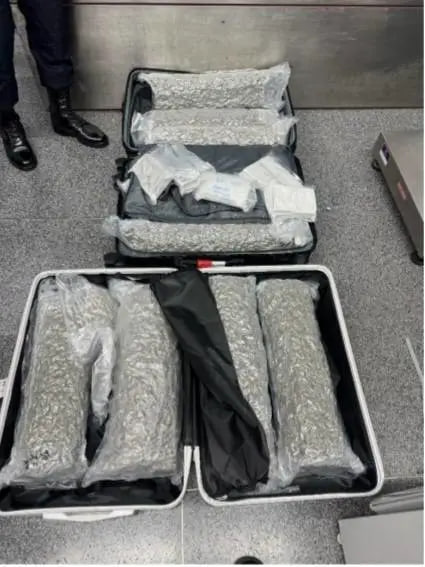 比利时女子在普吉机场被捕,行李藏逾31公斤大麻准备运往法国