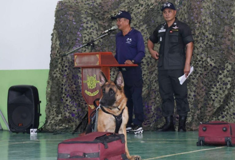 泰国皇家警察总监展示K-9警犬实力 部署缉毒任务