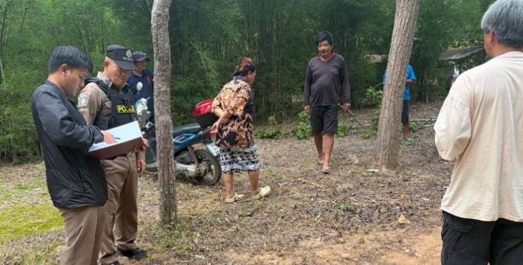 泰国92岁老人从5米高印楝树坠落身亡