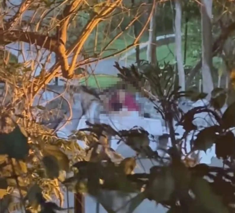 泰国芭提雅情侣在公园内发生性行为,视频疯传网络,警方展开调查